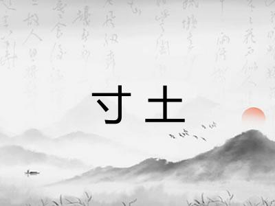 寸土