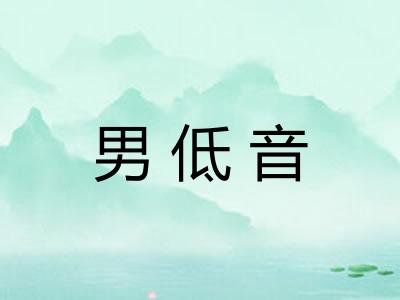 男低音 男低音