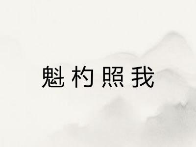 魁杓照我