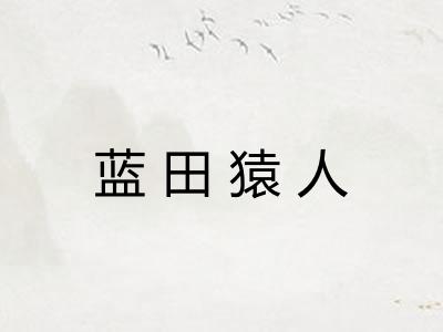 蓝田猿人 蓝田猿人