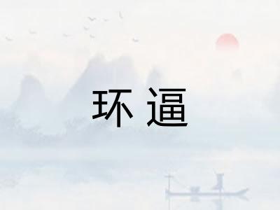 环逼