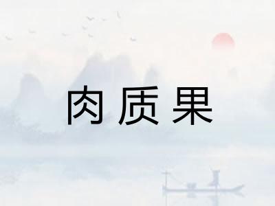 肉质果