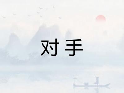 对手 对手