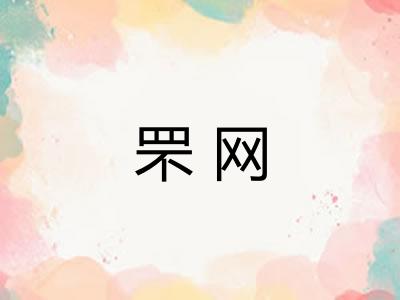 罘网