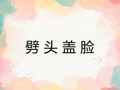 劈头盖脸