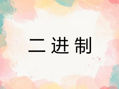 二进制 二进制