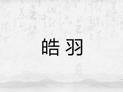 皓羽
