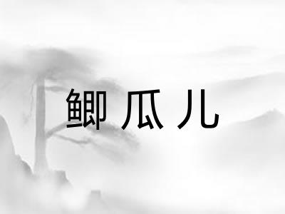 鲫瓜儿