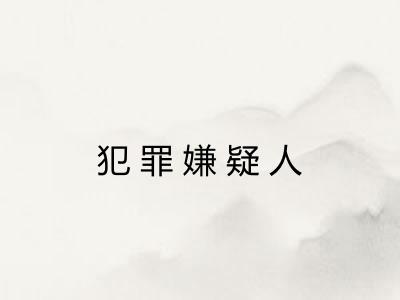 犯罪嫌疑人 犯罪嫌疑人