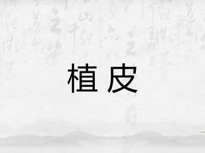 植皮
