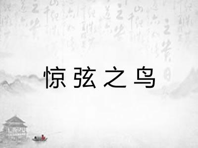惊弦之鸟