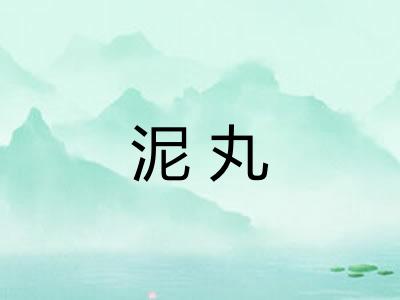 泥丸 泥丸