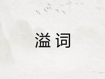 溢词