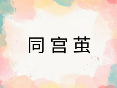 同宫茧