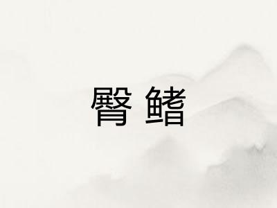 臀鳍