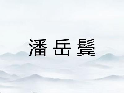 潘岳鬓
