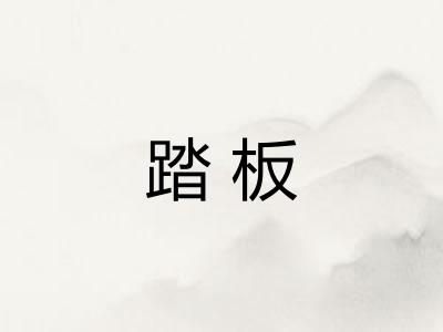 踏板 踏板