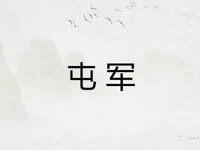 屯军