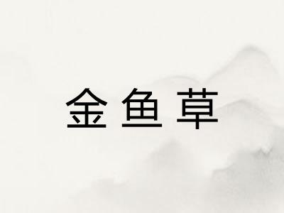 金鱼草 金鱼草