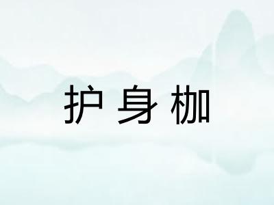 护身枷