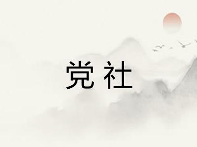 党社