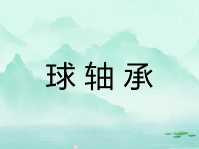 球轴承 球轴承