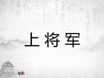 上将军