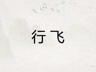 行飞 行飞