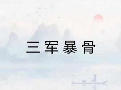 三军暴骨