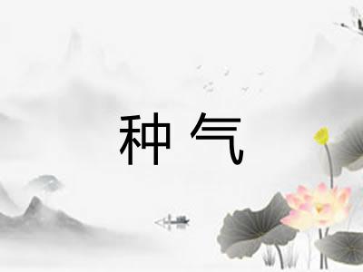 种气