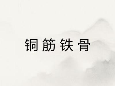 铜筋铁骨