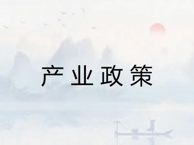 产业政策