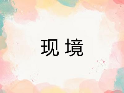 现境