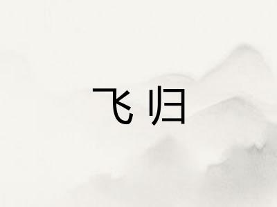 飞归