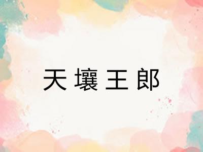 天壤王郎 天壤王郎