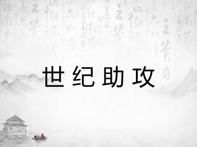 世纪助攻