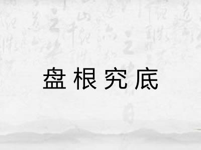 盘根究底