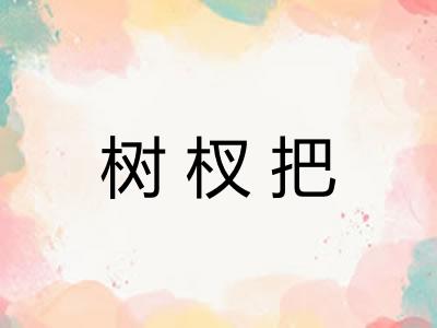 树杈把