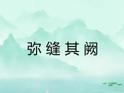 弥缝其阙