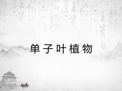 单子叶植物