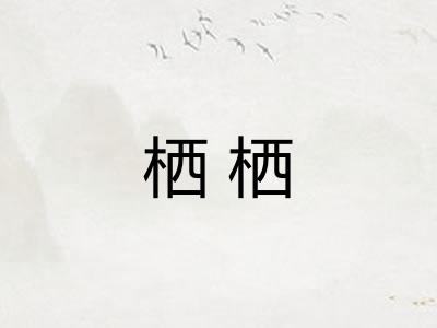 栖栖 栖栖