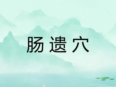 肠遗穴 肠遗穴