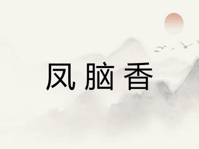 凤脑香 凤脑香