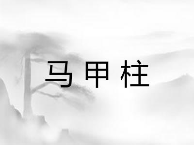 马甲柱