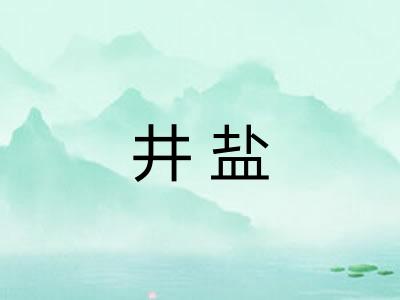 井盐 井盐