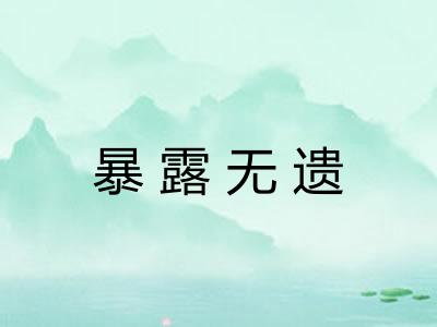 暴露无遗 暴露无遗