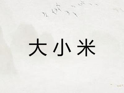 大小米