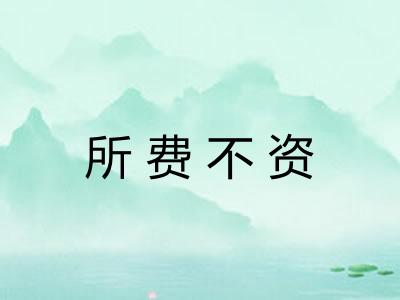 所费不资 所费不资