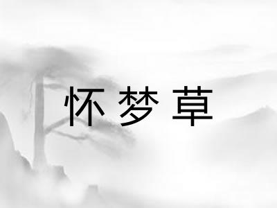 怀梦草