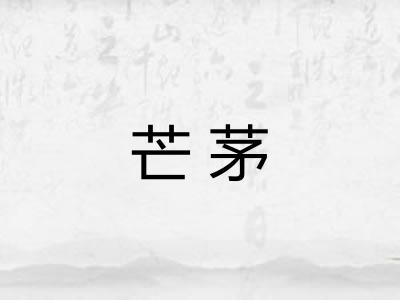 芒茅